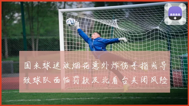 国米球迷放烟花意外炸伤手指或导致球队面临罚款及北看台关闭风险